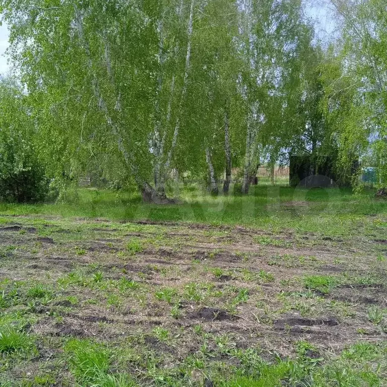 Участок 10 сот. (СНТ, ДНП) - Фото 0