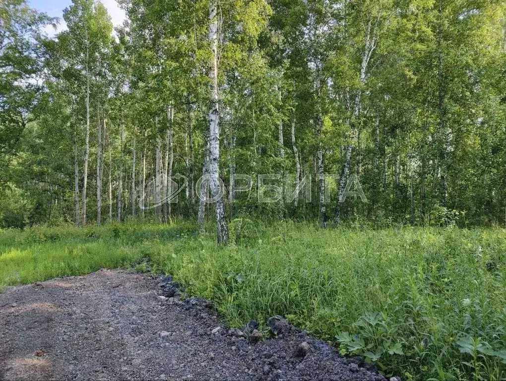 Участок в Тюменская область, Тюменский муниципальный округ, Подъем СНТ ... - Фото 0
