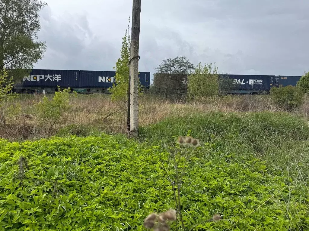 Участок в Московская область, Богородский городской округ, Электроугли ... - Фото 1