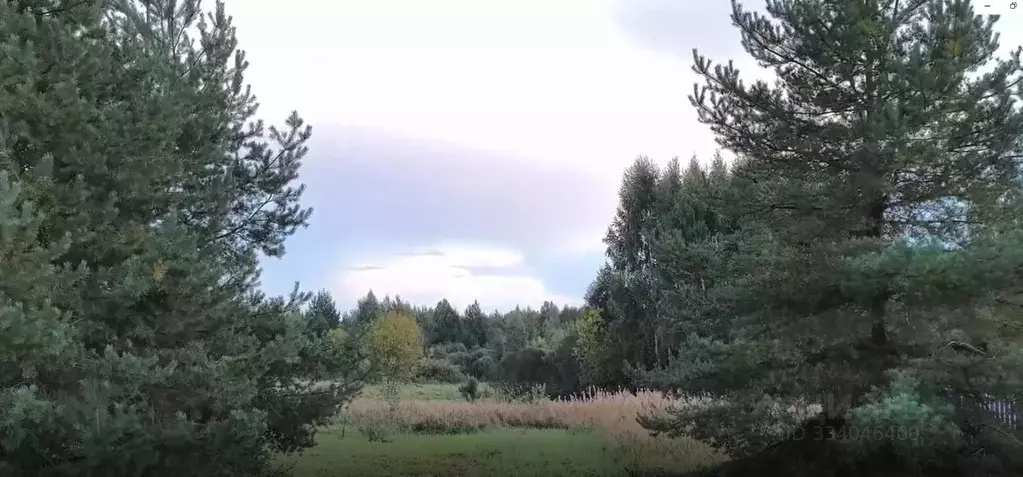 Участок в Московская область, Шатура муниципальный округ, д. ... - Фото 1