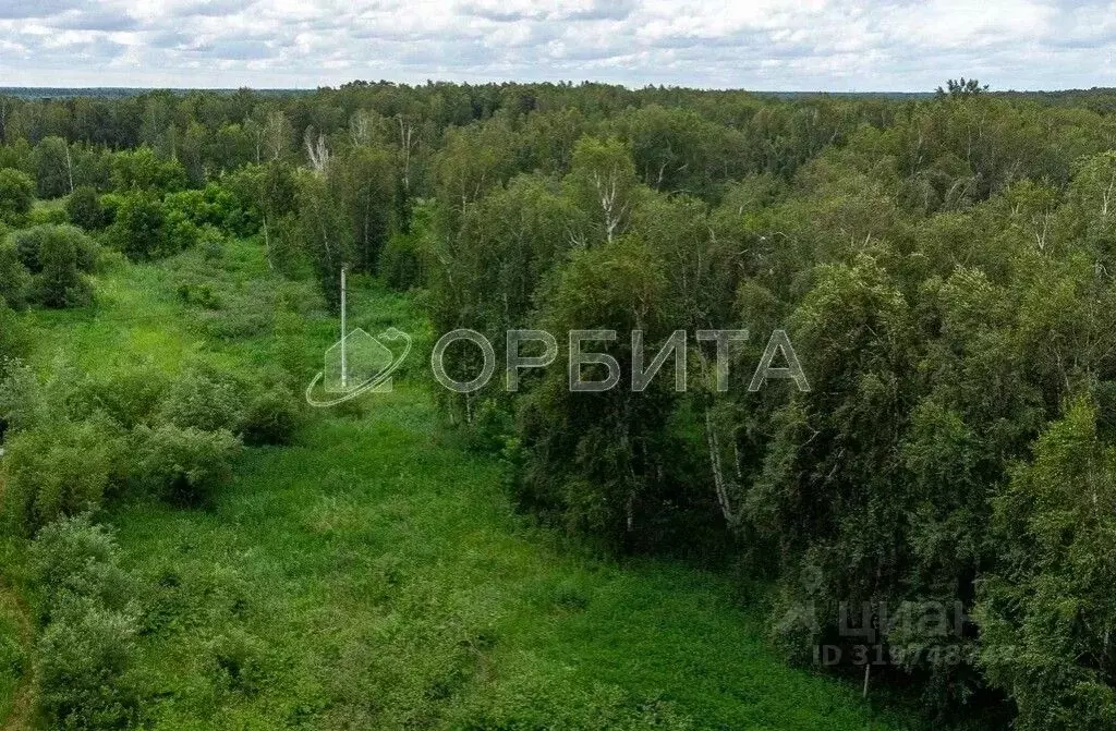 Участок в Тюменская область, Нижнетавдинский район, Строитель ТСН  ... - Фото 0