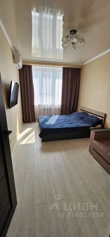 1-к кв. Краснодарский край, Анапа ул. Ленина, 180Ак10 (40.0 м) - Фото 0