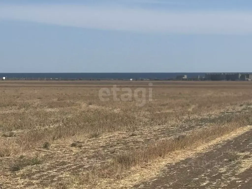 Участок в Крым, Черноморский район, Окуневское с/пос, с. Знаменское  ... - Фото 1