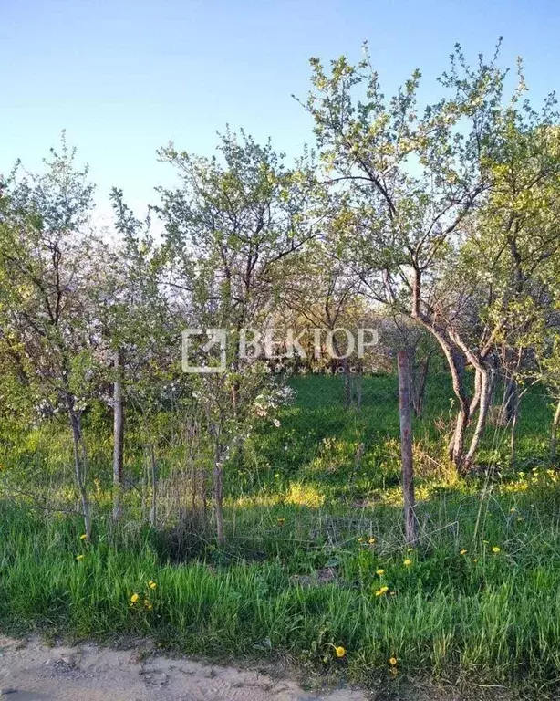 Участок в Костромская область, Костромской район, Середняковское ... - Фото 2