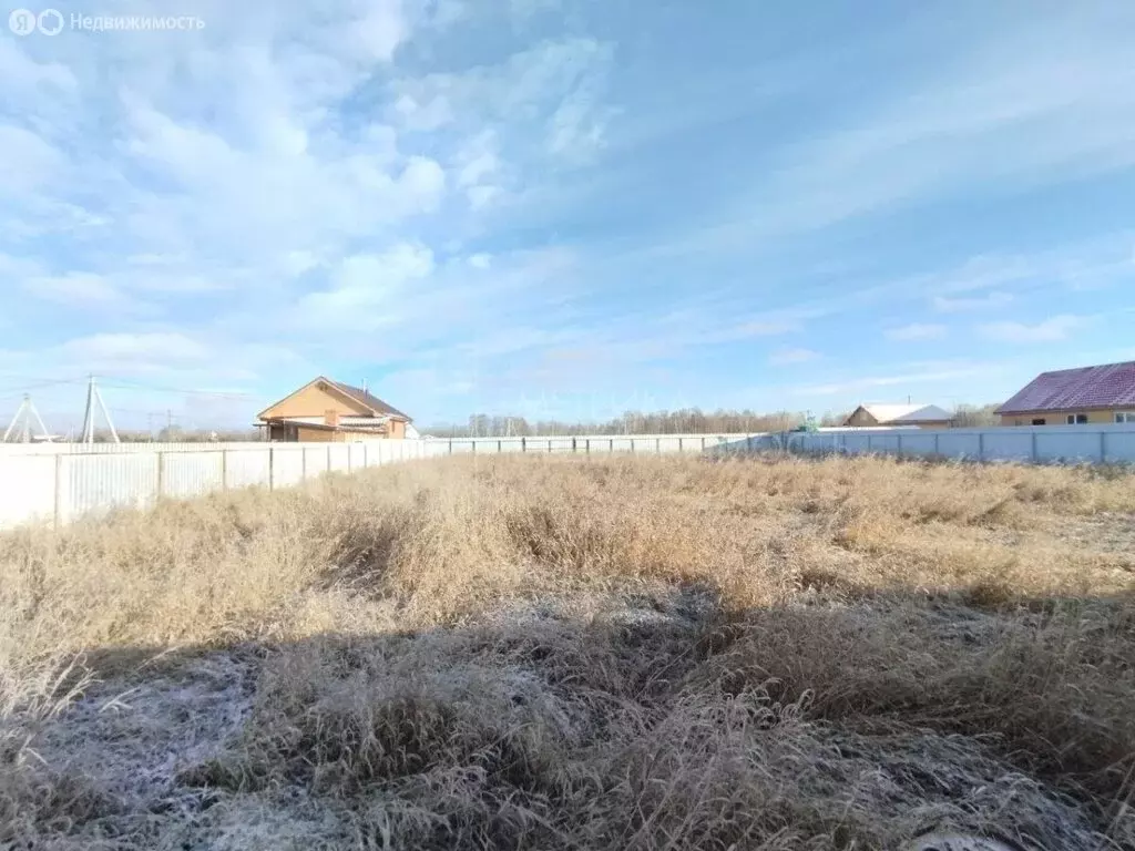 Участок в Тюменский муниципальный округ, деревня Криводанова, ... - Фото 2