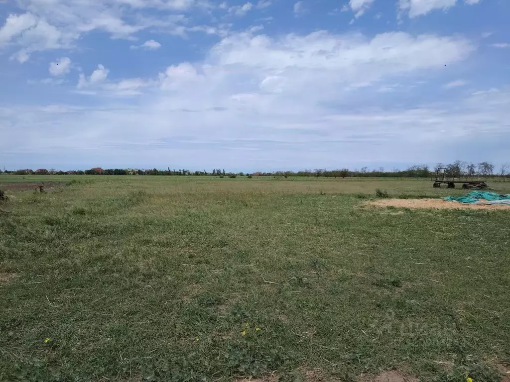 Участок в Краснодарский край, Ейский район, Должанская ст-ца пер. ... - Фото 1