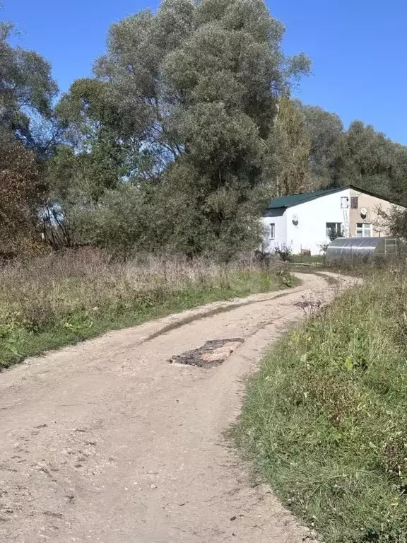 Участок в Калужская область, Ферзиковский муниципальный округ, Сашкино ... - Фото 2