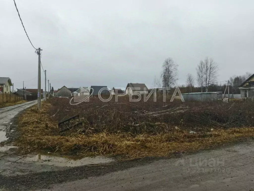 Участок в Тюменская область, Тюмень Якорь садовое товарищество, ул. ... - Фото 1