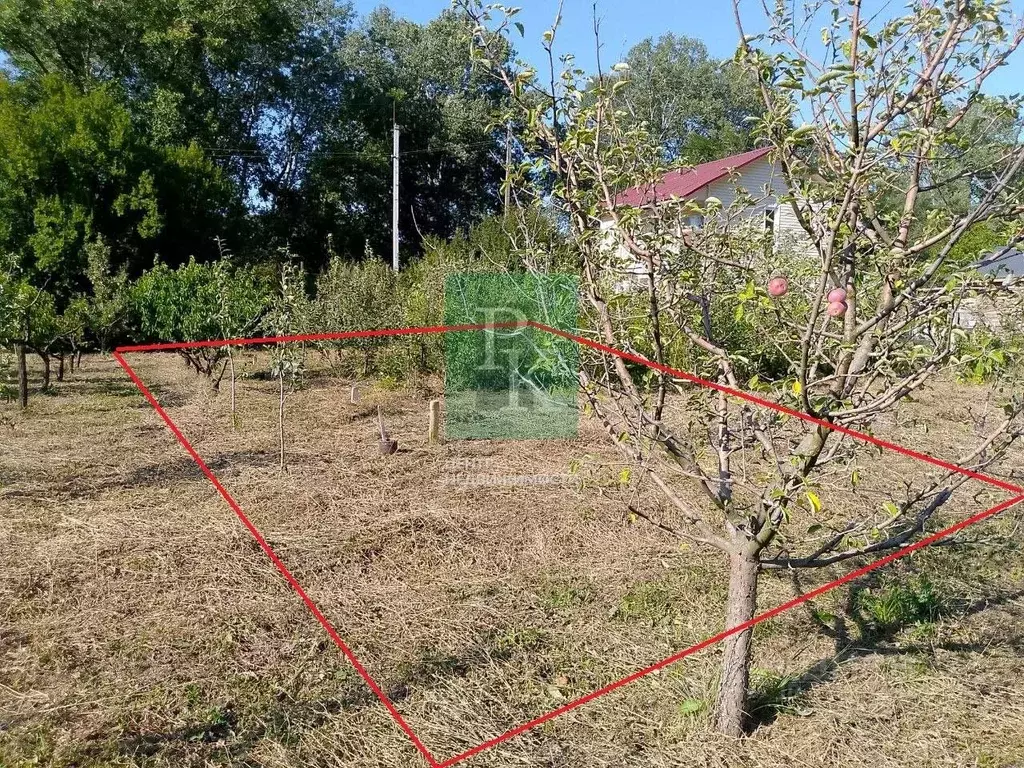 Участок в Севастополь Заречный садовое товарищество, 42 (4.2 сот.) - Фото 1