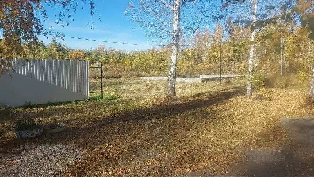 Помещение свободного назначения в Курганская область, Курган ул. ... - Фото 1