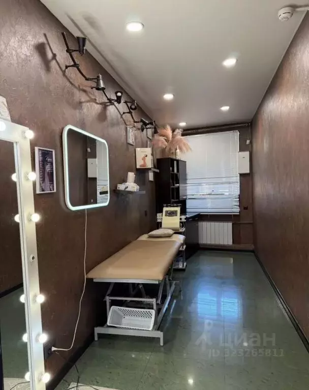 Помещение свободного назначения в Санкт-Петербург наб. Реки Фонтанки, ... - Фото 1