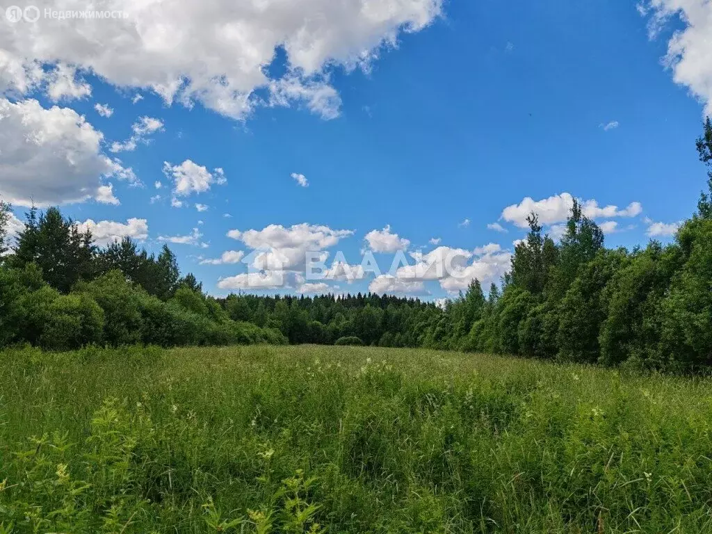 Участок в посёлок Горьковское, Полевая улица (394 м) - Фото 1