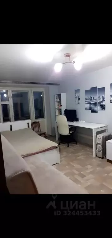 1-к кв. Нижегородская область, Кстово Зеленая ул., 10Б (28.2 м) - Фото 1