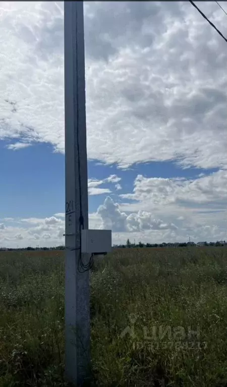 Участок в Самарская область, Ставропольский район, с. Ягодное ул. ... - Фото 1