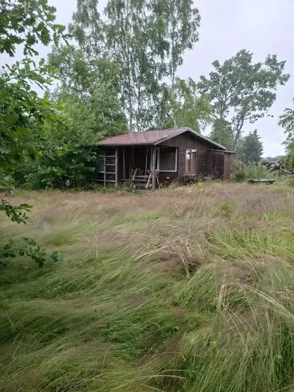 Дом в Калининградская область, Пионерский Заозерный СНТ,  (40 м) - Фото 1