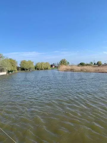 Участок 54 сот. (промназначения) - Фото 0