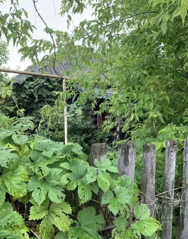 Участок в Мордовия, Ковылкино ул. Пушкина (8.0 сот.) - Фото 1