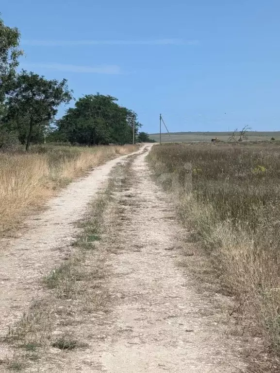 Участок в Крым, Черноморский район, с. Окуневка  (348.04 сот.) - Фото 2