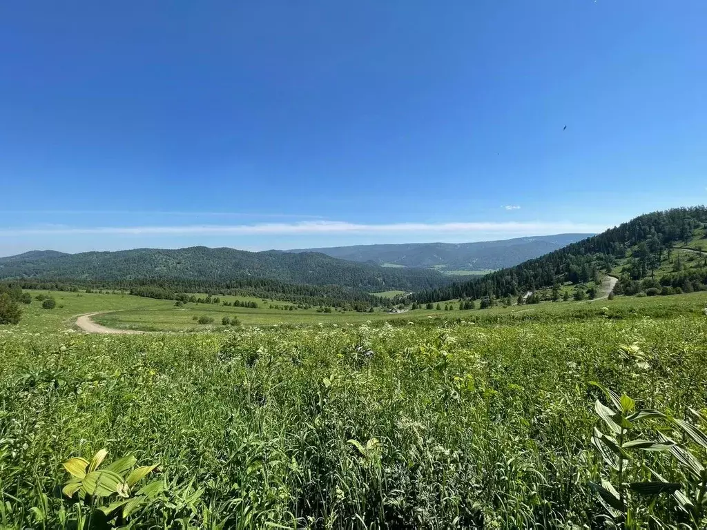 Участок в Алтай, Чемальский район, Седьмое небо кп  (22.34 сот.) - Фото 2