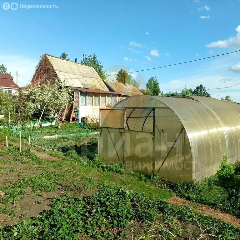 Дом в муниципальный округ Омский район, СНТ Луч (30 м) - Фото 2