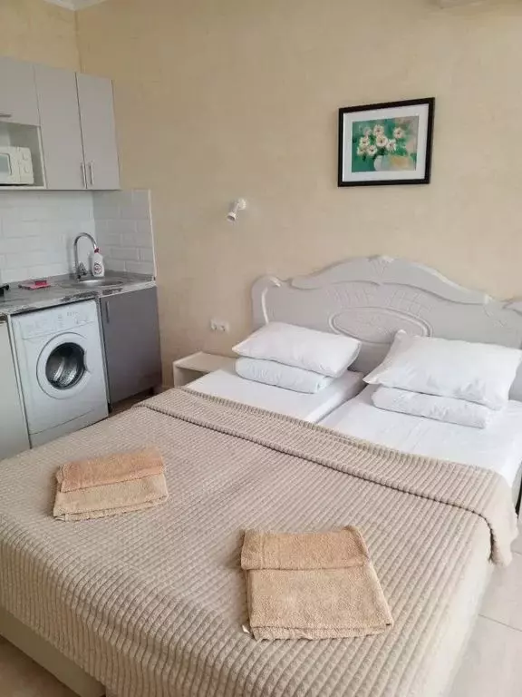 1-к кв. Краснодарский край, Сочи Курортный просп., 75к1 (20.0 м) - Фото 2