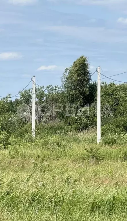 Участок в Тюменская область, Нижнетавдинский район, Душевное садовое ... - Фото 1