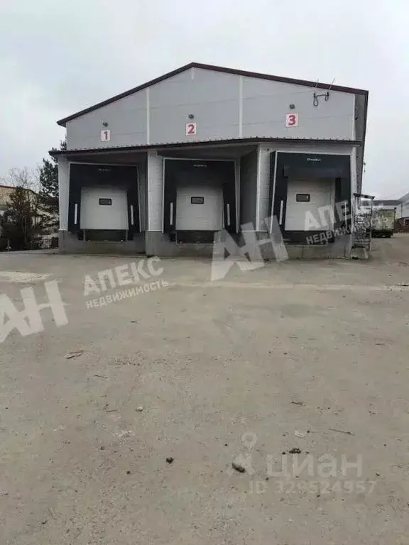 Склад в Московская область, Домодедово Белые Столбы мкр, ул. ... - Фото 1