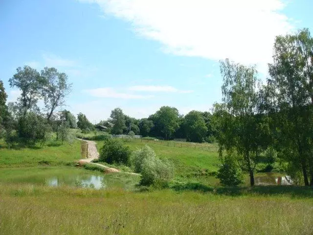 Продается участок в с. Дмитровское - Фото 2