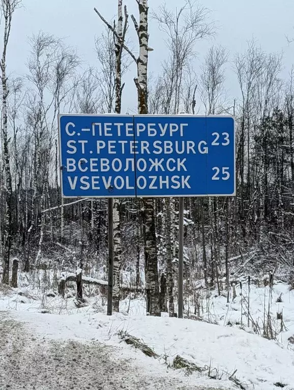 Участок в Ленинградская область, Всеволожский район, Колтушское ... - Фото 2
