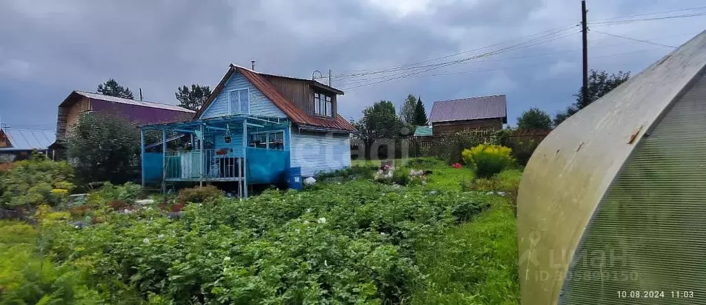 Участок в Томская область, Томский район, Надежда садовое товарищество ... - Фото 1