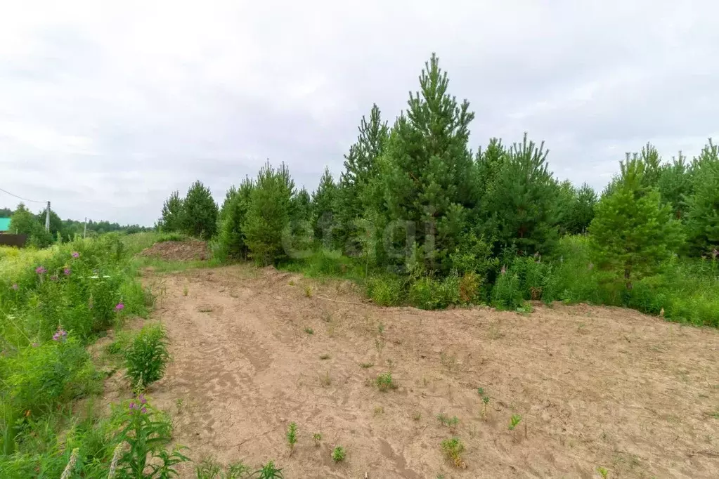Участок в Тюменская область, Нижнетавдинский муниципальный округ, д. ... - Фото 1