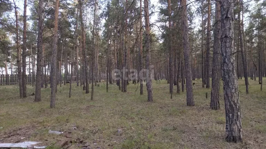 Участок в Саха (Якутия), Якутск Октябрьский округ,  (90.9 сот.) - Фото 0