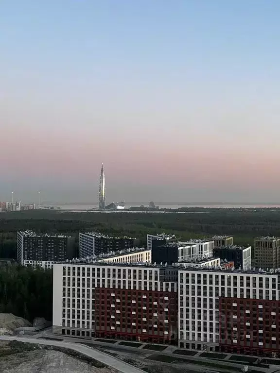 1-к кв. Санкт-Петербург просп. Авиаконструкторов, 69 (25.0 м) - Фото 1