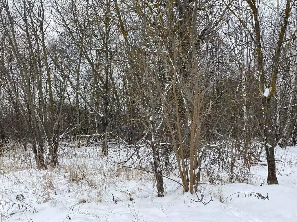 Участок в Московская область, Серпухов городской округ, пос. Большевик ... - Фото 0