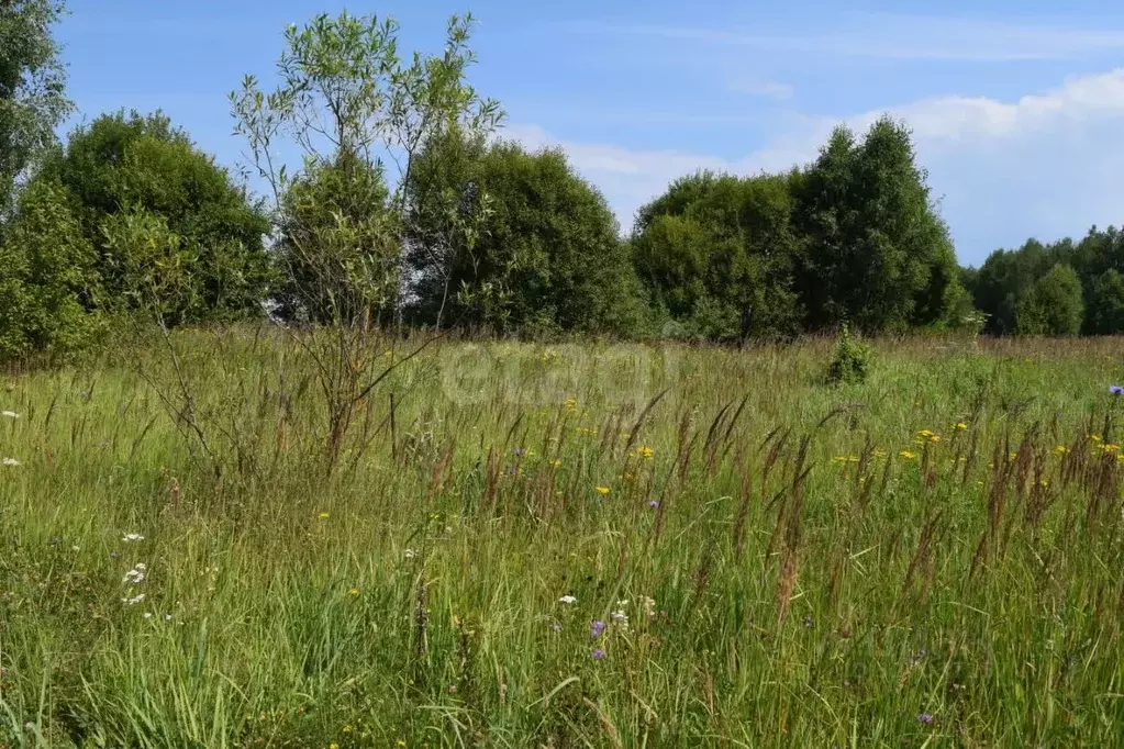 Участок в Калужская область, Перемышльский муниципальный округ, ... - Фото 1