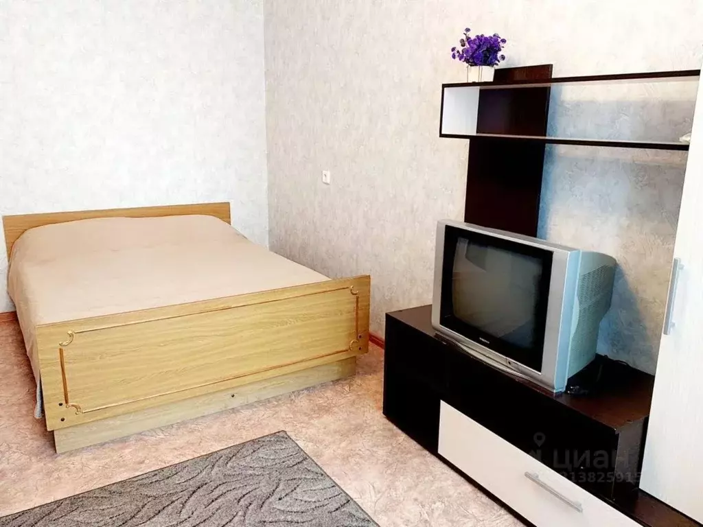 1-к кв. Воронежская область, Воронеж Острогожская ул., 170/12 (37.0 м) - Фото 1