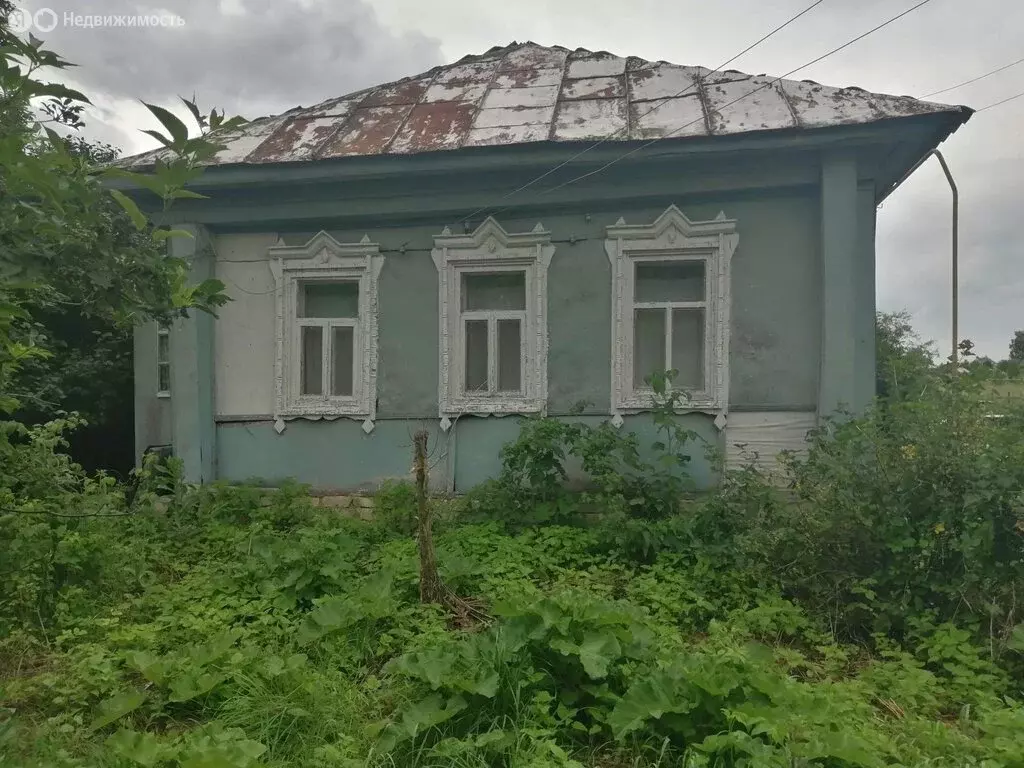 Дом в Рязанская область, Сасовский муниципальный округ, село Ернеево ... - Фото 1