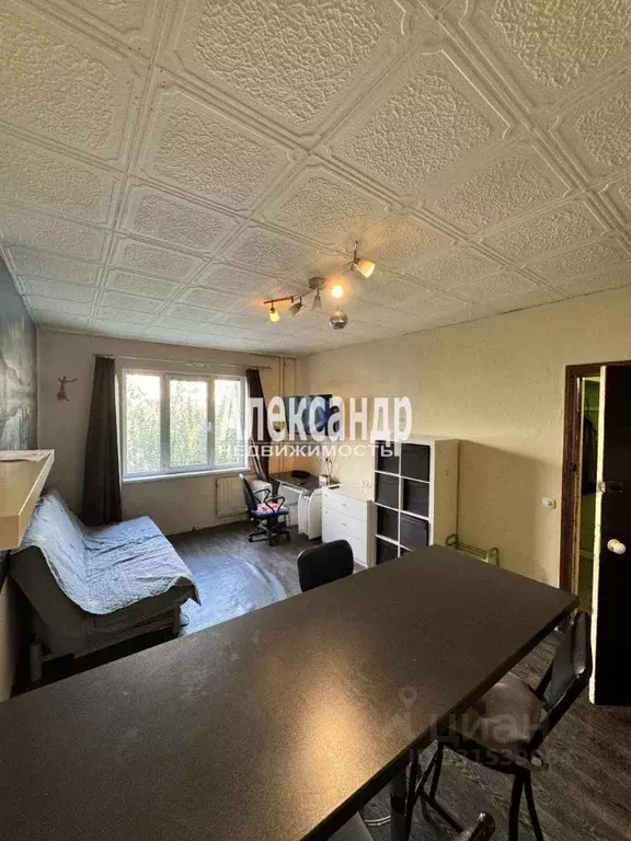 Комната Санкт-Петербург просп. Косыгина, 9К1 (20.0 м) - Фото 2