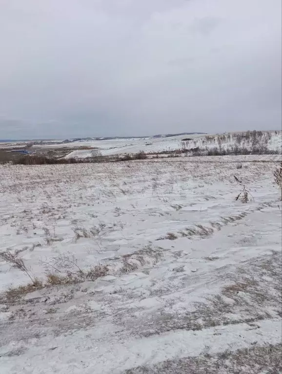 Участок в Красноярский край, Красноярск городской округ, Березовка ... - Фото 1