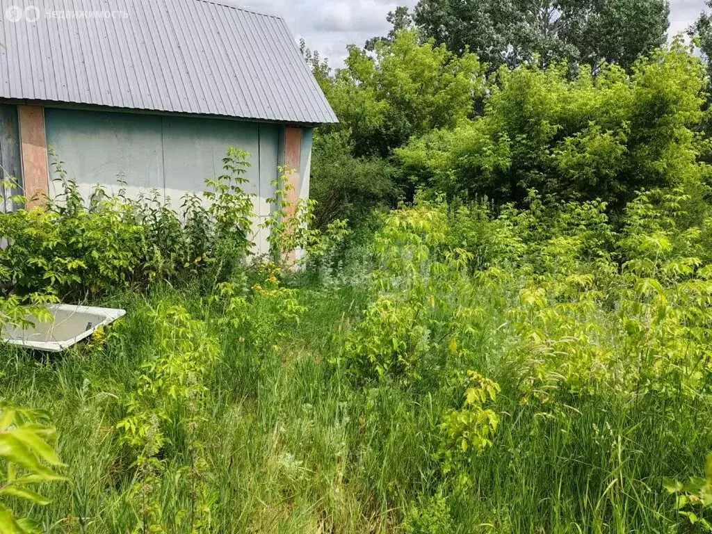 Участок в Красноусольский сельсовет, СТ Медик (466 м) - Фото 2