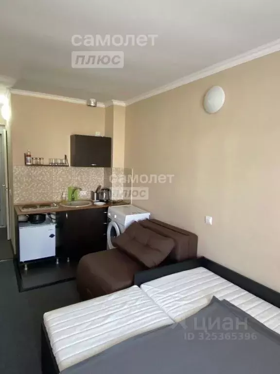 Студия Краснодарский край, Туапсинский муниципальный округ, с. ... - Фото 2