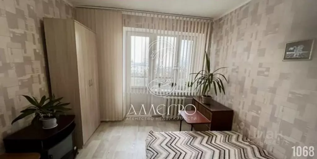 Комната Севастополь просп. Победы, 82 (12.0 м) - Фото 2