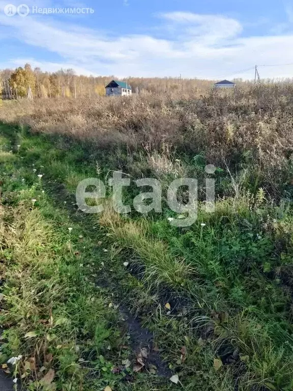 Участок в Шуваевский сельсовет, садоводческое некоммерческое ... - Фото 1