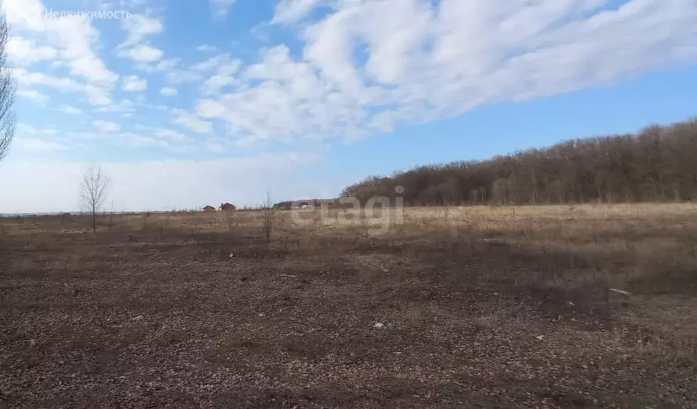 Участок в село Никольское, СТ Бродок (4.92 м) - Фото 2