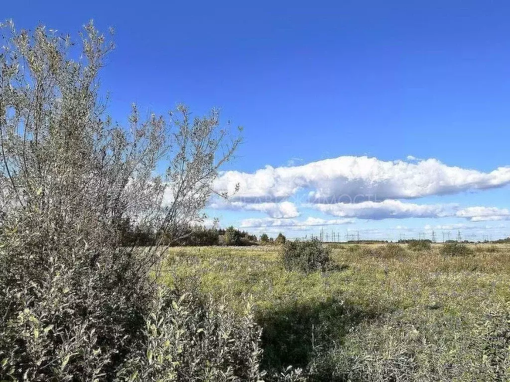 Участок в Тюменская область, Тюмень  (7.13 сот.) - Фото 2