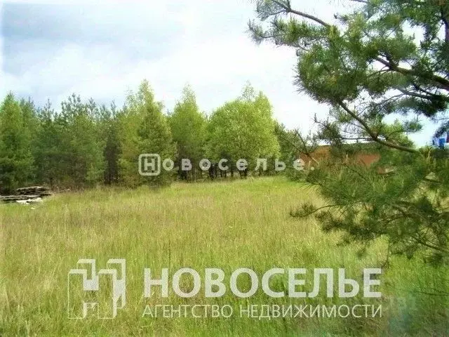 Участок в Рязанская область, Рязанский район, пос. Мурмино ул. ... - Фото 0