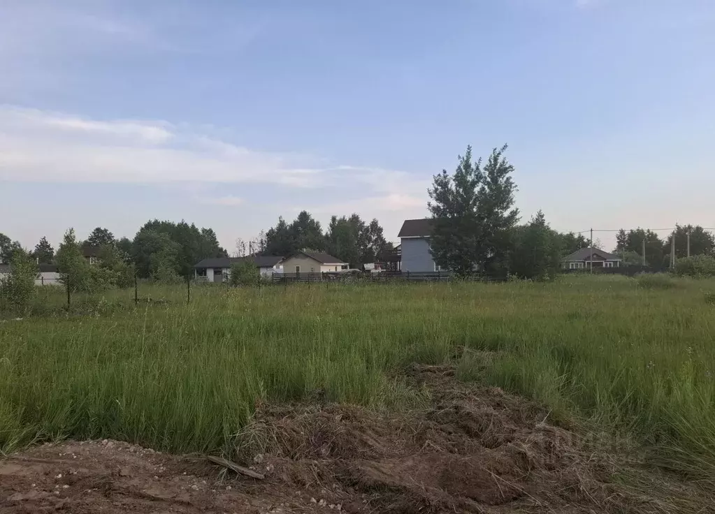Участок в Московская область, Воскресенск городской округ, д. Цибино ... - Фото 2