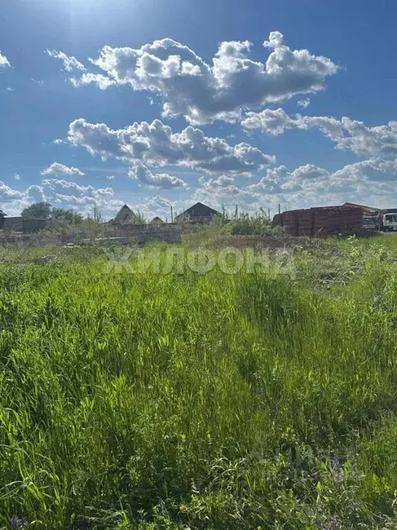 Участок в Новосибирская область, Новосибирск Тулинское заречье кп,  ... - Фото 0