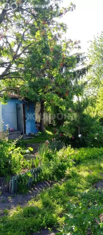 Дом в Криводановка, Криводановские дачи, Опаловая улица (20 м) - Фото 0