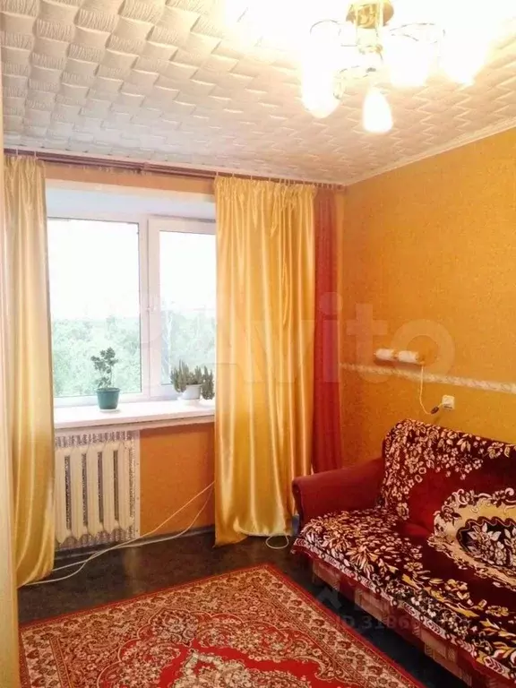 1-к кв. Костромская область, Кострома Проселочная ул., 36 (20.3 м) - Фото 0